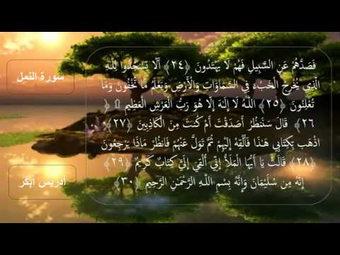 سورة النمل للقارئ إدريس أبكر