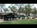 Loading a large sweet gum tree trunk with a grapple boom arm