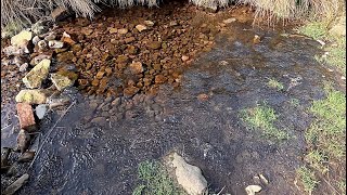 (CRAZY AMOUNT OF FROGSPAWN !!!) This Pond Is Full So Early In The Year !!! #Climatechange