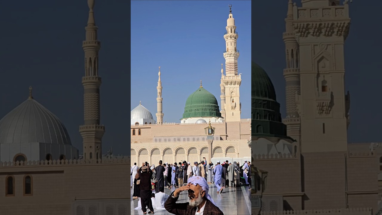 🌹🌹🌹🌹 #youtubeshorts  #trending #trending #madinahvlog555