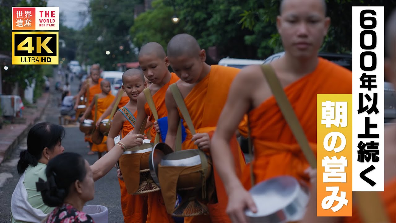4K】600年以上続く 朝の営み - YouTube