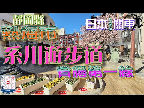 (日本自駕旅遊) 熱海市、系川遊步道賞櫻   ✈️日本🎌🚙#靜岡縣 #熱海市 #富士山 #河口湖 #靜岡縣 #河口湖町 #富士山纜車 #狸猫茶屋 #日本自駕遊 #japantravel