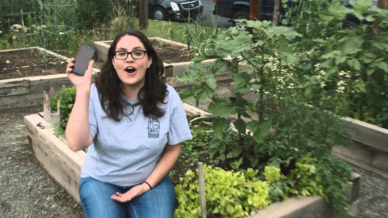 Fresh Food Connect YouTube