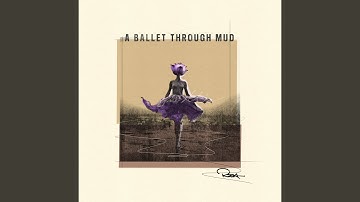 The Night Dances When You Least Expect It