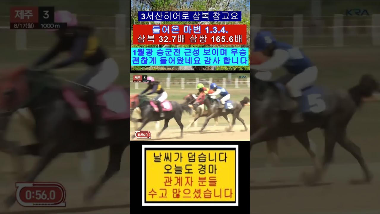삼쌍 165.6배 3서산히어로 삼복 참고요 1월광 축 영상보기