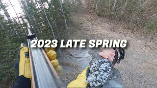 Late spring grouse hunt in Northern Ontario, Canada