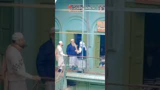 teachers of jamia qasmia madarsa shahi moradabad #viralvideo #viral #jamiatulmadina #shortvideo