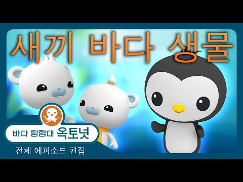 바다 탐험대 옥토넛 - 🌊 새끼 바다 생물 🧒 - 180분+ 편집 - 모음집