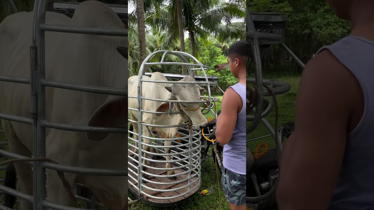 Take Care To All Farmers 