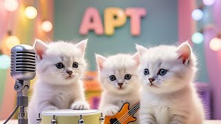 Singing Cat - Apt