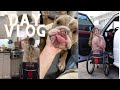 VLOG: A DAY IN THE LIFE-WHEELCHAIR USER