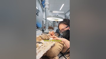 What tools do scientists use to uncover fossils? #shorts