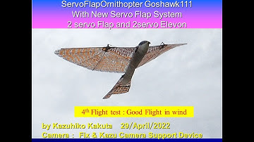 サーボ駆動羽ばたき機 オオタカ SFOGoshawk111 86g : 第4回飛行試験 風下良好飛行