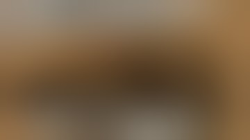 Shitpost Status Compilation V9