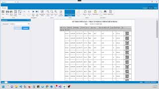 How to enable Expression Bindings in End User Reports in WPF Core App?