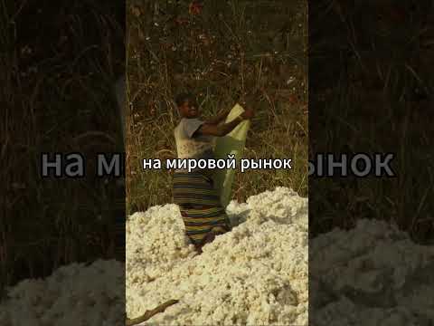 ЭТО НАШ ПОДАРОК АФРИКЕ! Дом \ часть 9 #люди #американскаямечта #дом #чтопроисходит #животные
