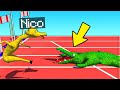 NICO, VINCE LE OLIMPIADI ANIMALI (arriva ultimo)