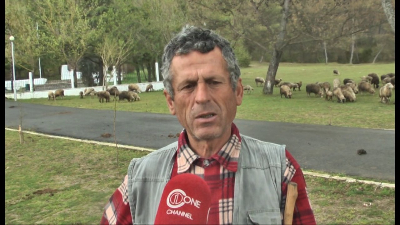 Ky është vendi im- Peza, së shpejti me status ligjor “Park Natyror Rajonal”