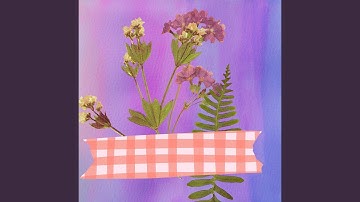 Charming Backdrops for Lazy Chairs