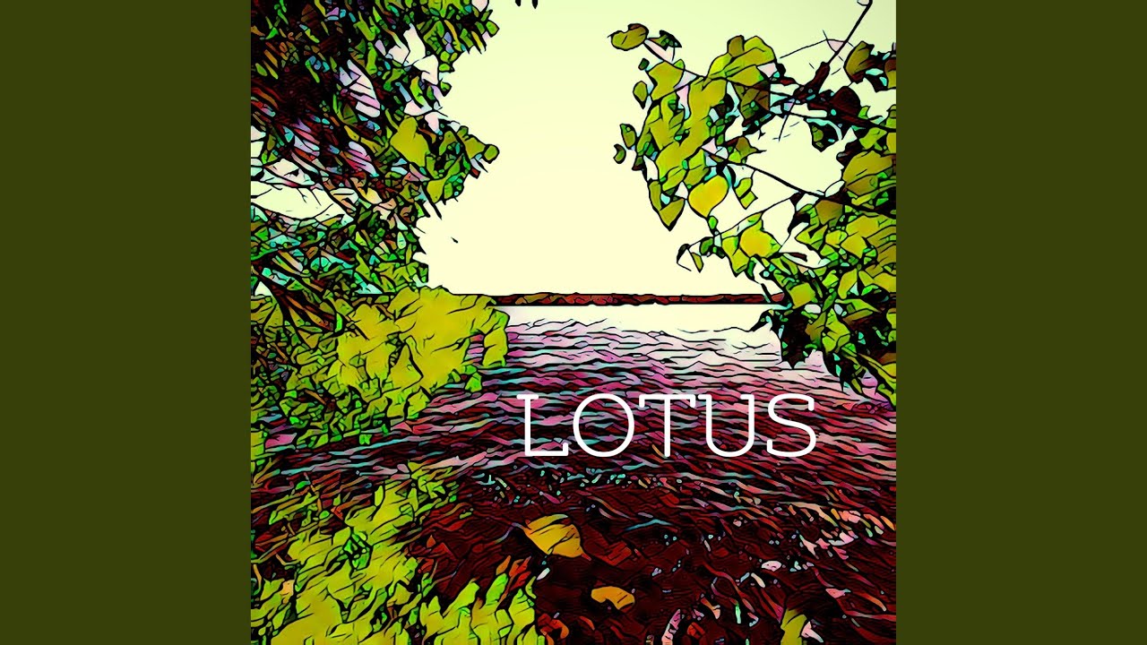 Lotus auf YouTube ansehen Lotus auf YouTube ansehen