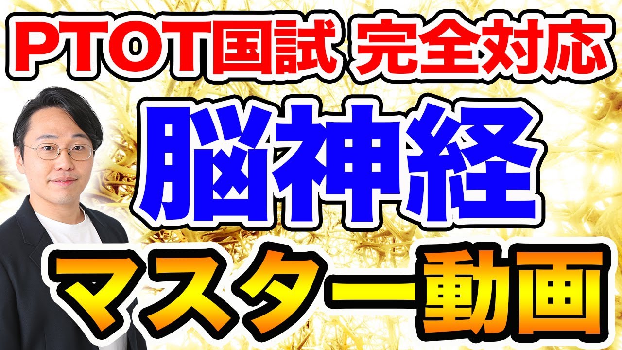 脳神経の機能・反射【一撃で15点分UP】マスター動画｜理学療法士作業療法士国試専門オンライン塾 鰐部ゼミナール