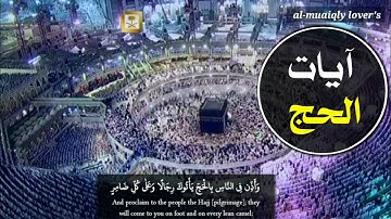 وأذن في الناس بالحج يأتوك رجالا _ آيات الحج بترتيل يروي القلب من الشيخ ماهر المعيقلي