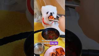 She Tricks Her Dog with Fake Food… But There’s a Reason#animals#Friendship #Us#dog