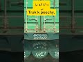 truck pe kia likha h parha ap ny?#song #automobile #love#travel #truck #