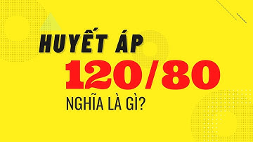 Huyết áp là gì? Hiểu rõ tất cả kiến thức trong 5 phút | 5 Phút Thông Não