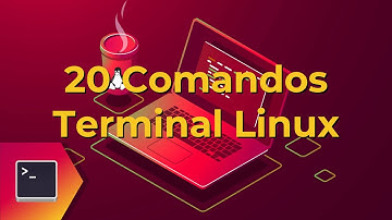 20 Comandos Essenciais no Terminal Linux