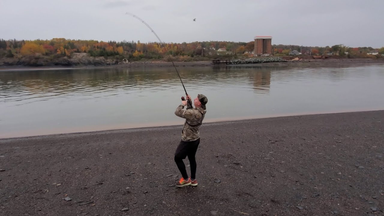 Catching Striped Bass: Reeling In Multiple Fish! 