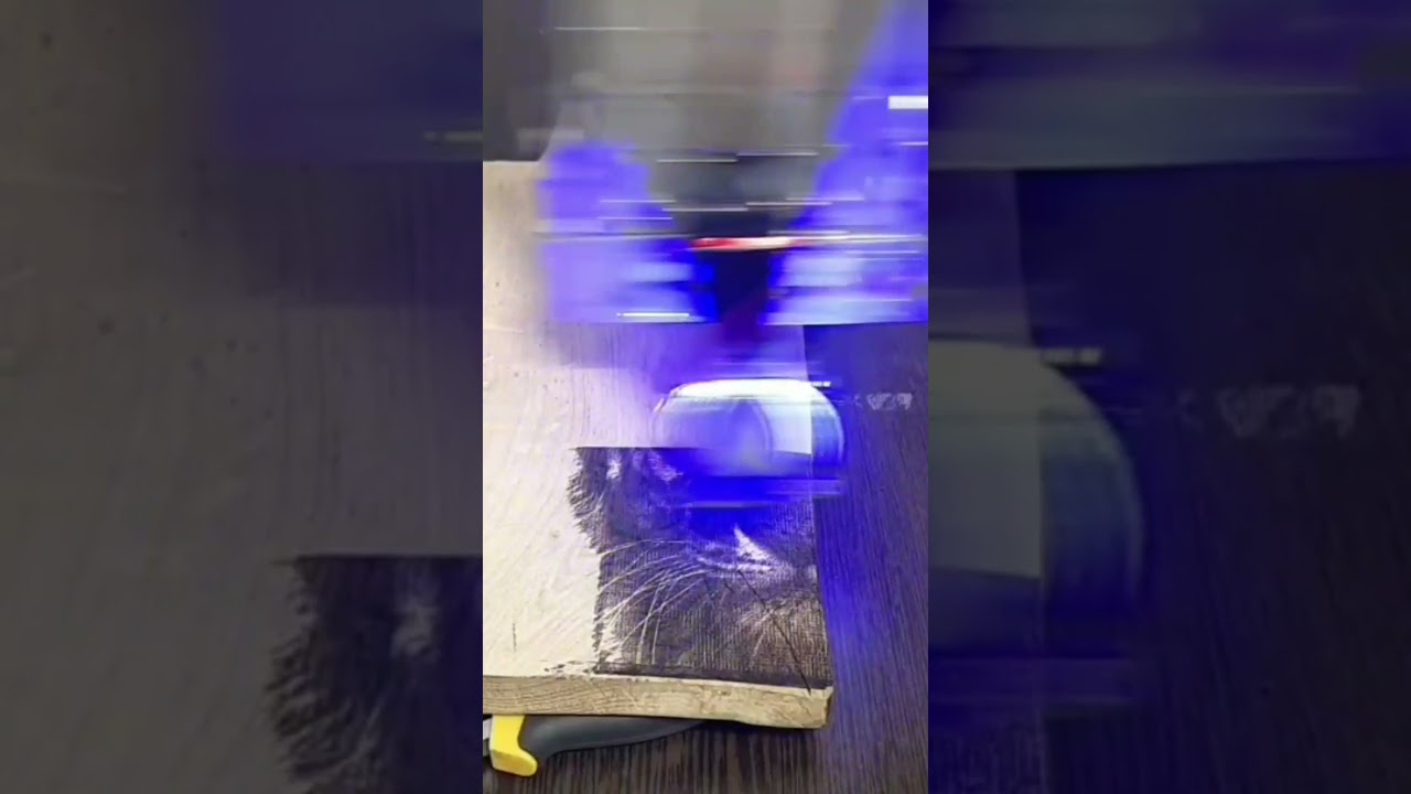 Картина по дереву лазером. Выжигание лазером. Shorts. Короткое видео ...