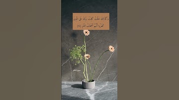 آية ٦ من سورة غافر | اللهم أجرنا من نار جهنم