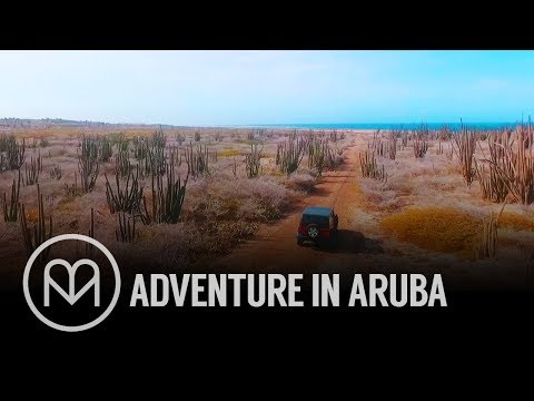 Video: Adventures In Aruba - Matador Network