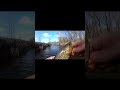 #creekfishing #trout #shorts #shortvideo #Fish
