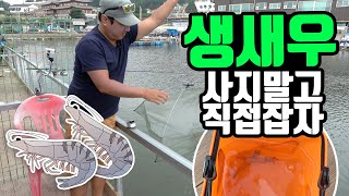바다낚시터에서 생새우 잡는 법 How to catch shrimps in fishing hole