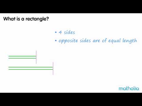 ⁣The Perfect Rectangle: Characteristics and More