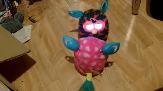 4355 9687 2024 Furby Convo'.