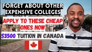 Top 8 CHEAPEST COLLEGES in CANADA for International students | Low GPA Accepted, No IELTS Required screenshot 2