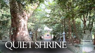Quiet Shrine Where 1,300 Years of Prayer Still Flow | Hiki Shrine, Japan