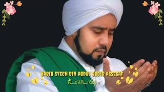 story WA keren habib syech bin abdul qodir assegaf