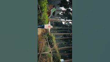 colour grading tutorial ।।#shortsfeed #shorts #viral #tutorial #edit #capcutedit