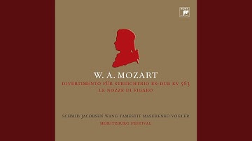 Divertimento for String Trio in E flat major, K. 563: Allegro