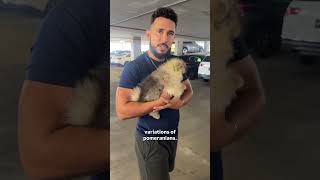Say hi to little chip 🥰😍