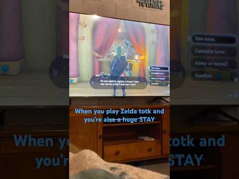 Playing Zelda totk as a STAY 😅ofc this is what I do…