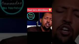 Maal Tae Diinnikoo My Tiktok 19