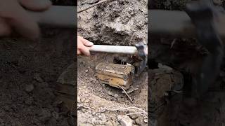 X Hunter Find Box Full Of Gold By metal Detector #treasurehunt #metaldetecting