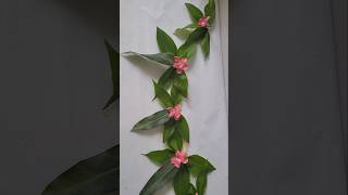 Mango Leaf Toran Making at Home 🌿 | Easy Bandhanwar DIY #shorts