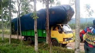 Supir truk berjilbab, mantap.