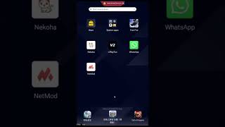 NetMode with V2ray